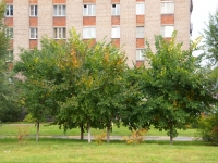 Novokuznetsk, Stroiteley avenue, house 79. Apartment house