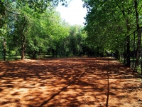 Togliatti, Leninsky avenue, sports ground 