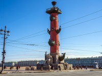 Vasilieostrovsky district, monument Ростральные колонны , monument Ростральные колонны