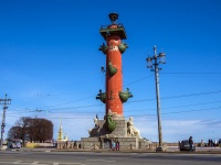 Vasilieostrovsky district, monument Ростральные колонны , monument Ростральные колонны