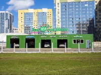 Kalininsky district, store "Зеленая шина", Marshala blyuhera avenue, house 6Б