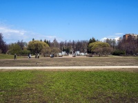 Kalininsky district, park Любашинский сад Metallistov avenue, park Любашинский сад 