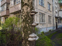 Kalininsky district, Nauki avenue, house 39. Apartment house