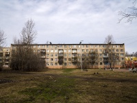 Nevsky district, Babushkin , house 99. Apartment house