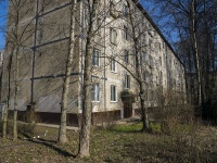 Nevsky district,  Babushkin, house 115 к.2. Apartment house