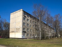 Nevsky district, avenue Bolshevikov, house 53 к.1. Apartment house