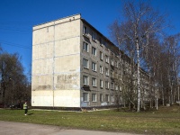 Nevsky district, Bolshevikov avenue, house 53 к.1. Apartment house