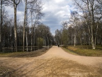 Nevsky district, 公园 