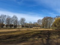 Nevsky district, Сад 