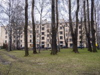 Petrogradsky district,  , house 81. Apartment house