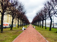 Петроградский район, улица Мичуринская. Аллея на Петровской набережной