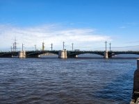 Petrogradsky district, bridge 